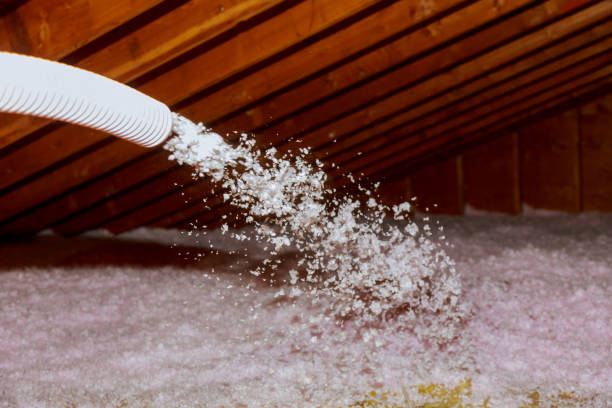 Best Insulation Maintenance and Repair in North Fort Myers, FL