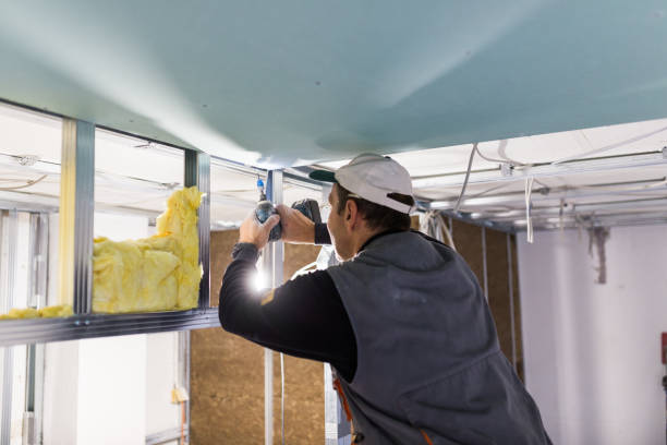 Best Geographic-Specific Insulation Services in North Fort Myers, FL