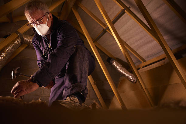 Best Blown-in Insulation in North Fort Myers, FL